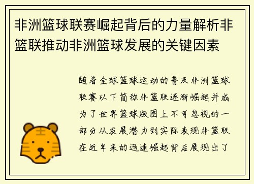 非洲篮球联赛崛起背后的力量解析非篮联推动非洲篮球发展的关键因素